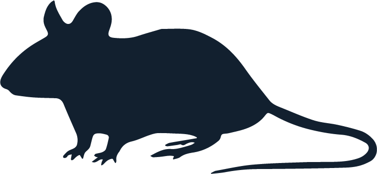 Mice Control Services | Liberty Pest Control, Paducah, KY